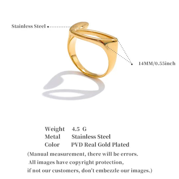 Geometric Hollow Ring