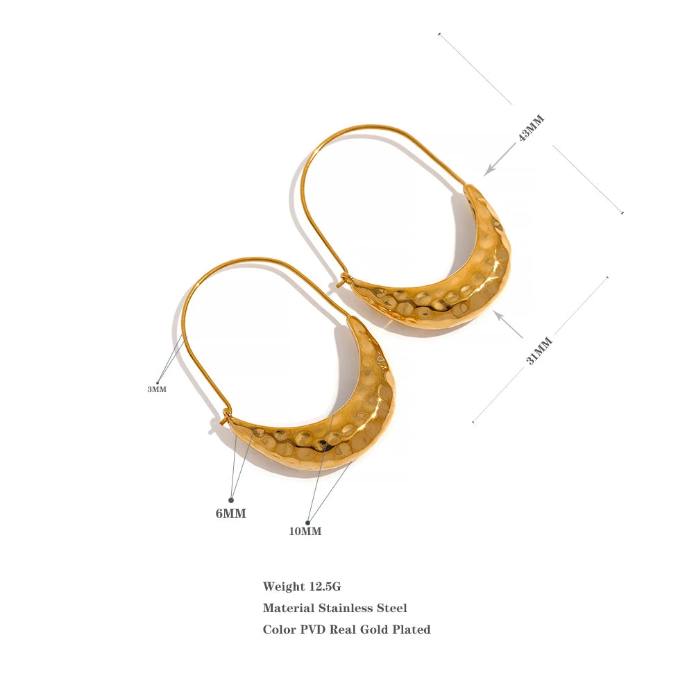 Golden Dangle Hoop Earrings