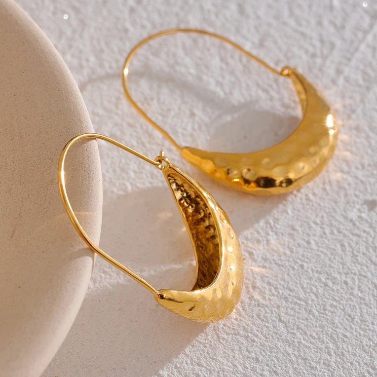 Golden Dangle Hoop Earrings