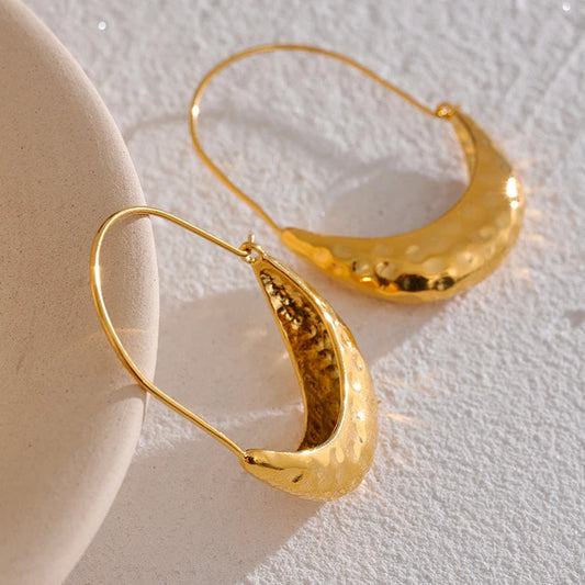 Golden Dangle Hoop Earrings